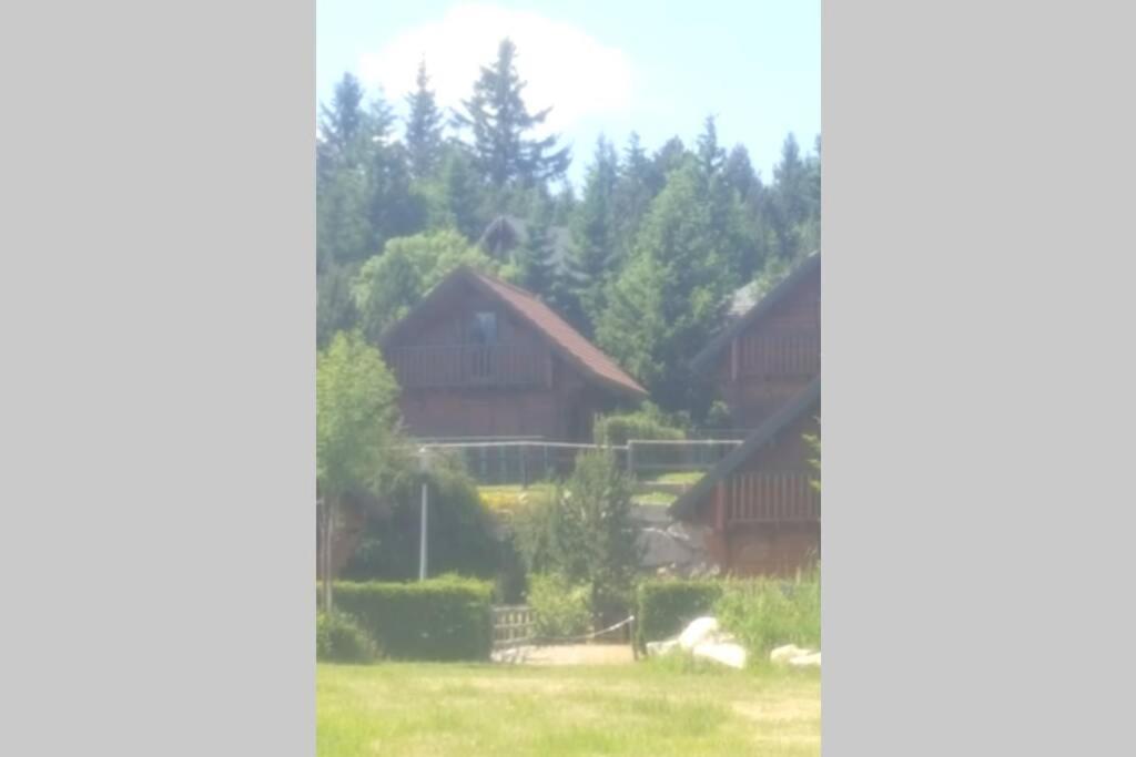 Maison De Bois Finlandaise Au Pied Des Pistes Bolquere Pyrenees 2000 エクステリア 写真